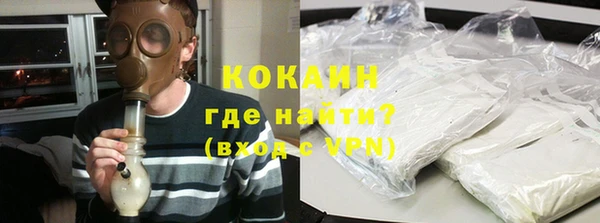 дмт Пестово