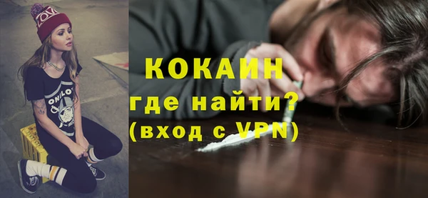 дмт Пестово