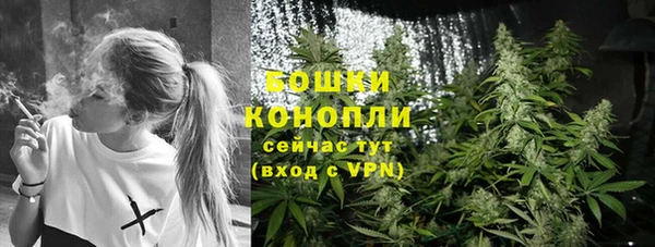 эйфоретик Дубна