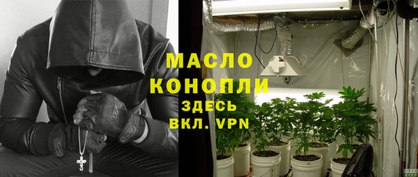 дмт Пестово