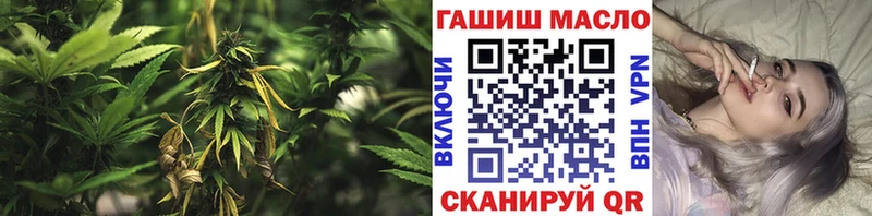 ТГК гашишное масло  Купить закладки  Железногорск-Илимский 