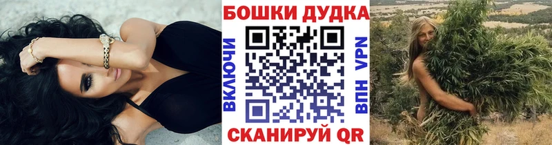 Купить закладки  Железногорск-Илимский  Канабис LSD WEED 